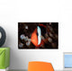 Red and Black Anemonefish Wall Decal Design 2