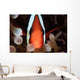 Red and Black Anemonefish Wall Decal Design 1