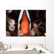 Red and Black Anemonefish Wall Decal Design 1