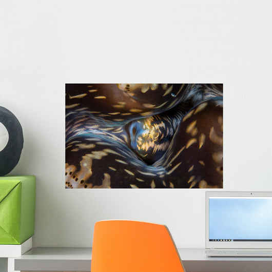 Detail Siphon Giant Clam Wall Decal