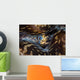 Detail Siphon Giant Clam Wall Decal