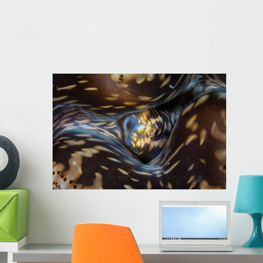 Detail Siphon Giant Clam Wall Decal