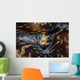 Detail Siphon Giant Clam Wall Decal