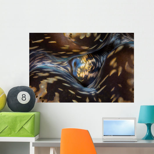 Detail Siphon Giant Clam Wall Decal