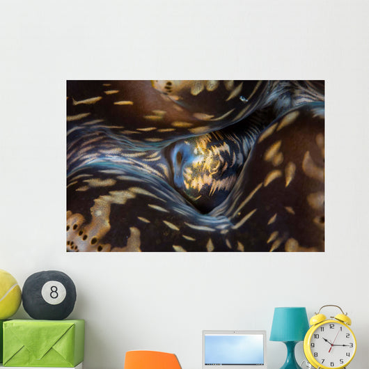 Detail Siphon Giant Clam Wall Decal