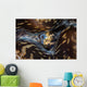 Detail Siphon Giant Clam Wall Decal