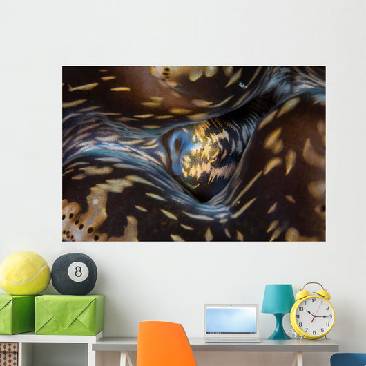 Detail Siphon Giant Clam Wall Decal