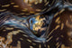 Detail Siphon Giant Clam Wall Decal