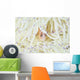 Pink Anemonefish Swims among Wall Decal Design 3