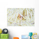 Pink Anemonefish Swims among Wall Decal Design 3