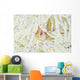 Pink Anemonefish Swims among Wall Decal Design 3
