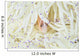 Pink Anemonefish Swims among Wall Decal Design 3