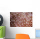 Detail Texture Mushroom Coral Wall Decal