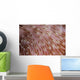 Detail Texture Mushroom Coral Wall Decal