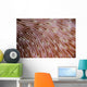 Detail Texture Mushroom Coral Wall Decal