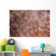 Detail Texture Mushroom Coral Wall Decal