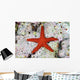 Small Red Starfish Clings Wall Decal