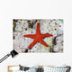 Small Red Starfish Clings Wall Decal
