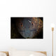 Yellow-margin Moray Eel Looks Wall Decal
