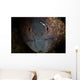 Yellow-margin Moray Eel Looks Wall Decal