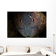 Yellow-margin Moray Eel Looks Wall Decal