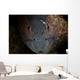 Yellow-margin Moray Eel Looks Wall Decal