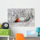 Fire Dartfish Swims above Wall Decal