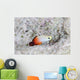 Fire Dartfish Swims above Wall Decal