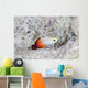 Fire Dartfish Swims above Wall Decal