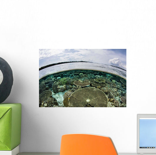 Shallow Coral Reef Thrives Wall Decal Design 14