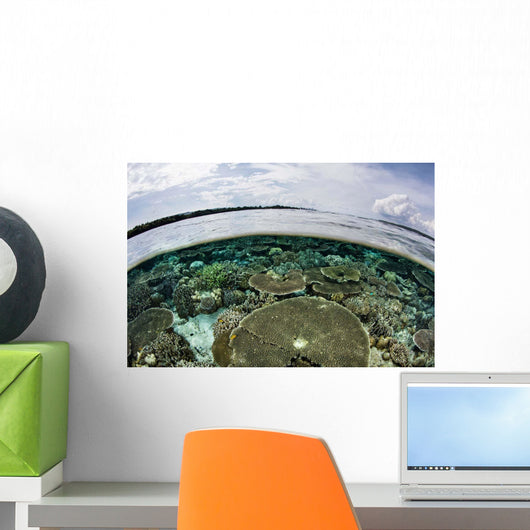 Shallow Coral Reef Thrives Wall Decal Design 14