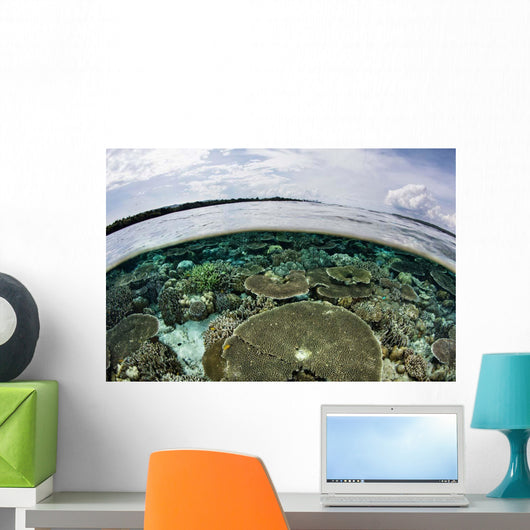 Shallow Coral Reef Thrives Wall Decal Design 14