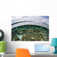Shallow Coral Reef Thrives Wall Decal Design 14