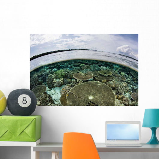 Shallow Coral Reef Thrives Wall Decal Design 14