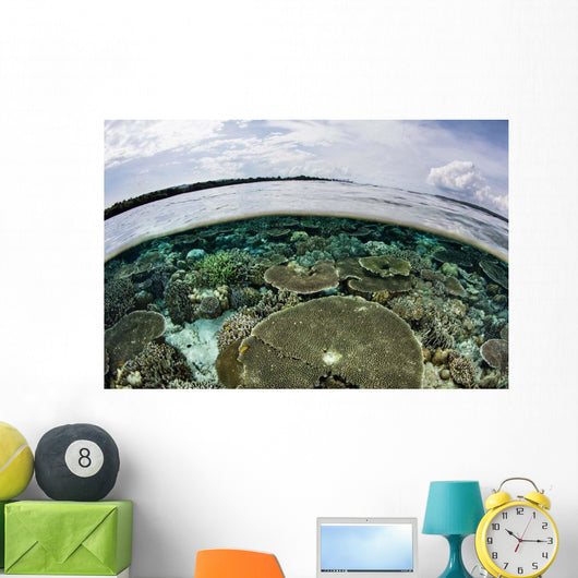 Shallow Coral Reef Thrives Wall Decal Design 14