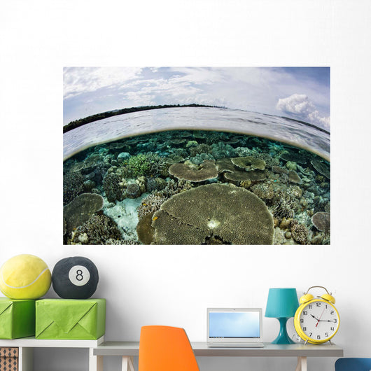 Shallow Coral Reef Thrives Wall Decal Design 14