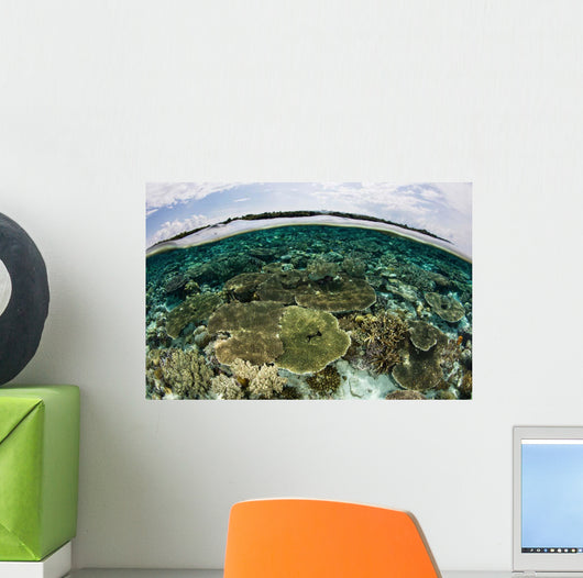 Shallow Coral Reef Thrives Wall Decal Design 13