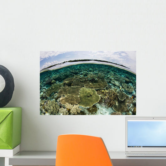 Shallow Coral Reef Thrives Wall Decal Design 13