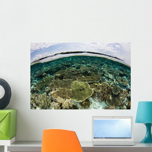 Shallow Coral Reef Thrives Wall Decal Design 13