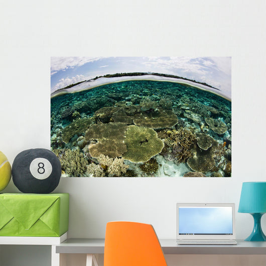 Shallow Coral Reef Thrives Wall Decal Design 13
