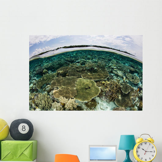 Shallow Coral Reef Thrives Wall Decal Design 13