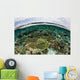 Shallow Coral Reef Thrives Wall Decal Design 13