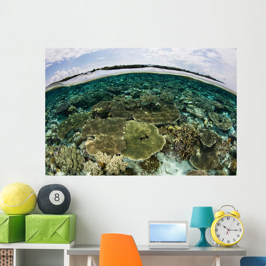 Shallow Coral Reef Thrives Wall Decal Design 13