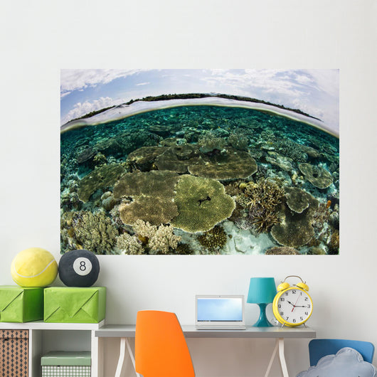Shallow Coral Reef Thrives Wall Decal Design 13