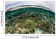 Shallow Coral Reef Thrives Wall Decal Design 13