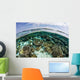 Shallow Coral Reef Thrives Wall Decal Design 12