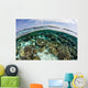 Shallow Coral Reef Thrives Wall Decal Design 12