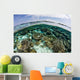 Shallow Coral Reef Thrives Wall Decal Design 12