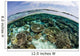 Shallow Coral Reef Thrives Wall Decal Design 12