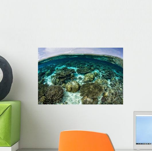 Shallow Coral Reef Thrives Wall Decal Design 11
